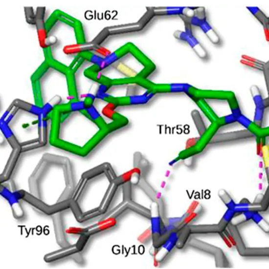KRAS Codon 61 Mutation Detection Test